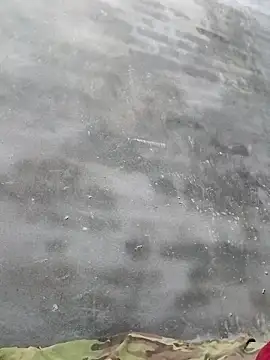 Sgs594802799 online show from 04.02.26