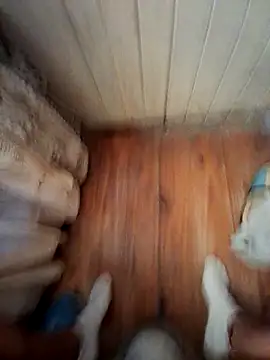 Franco10 - online show from 02.15.26