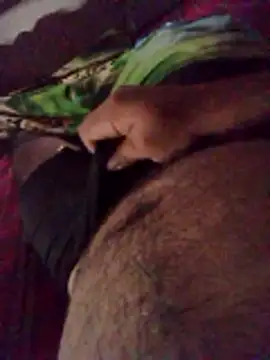 fcenteno124 online show from 04.01.26