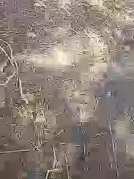 Cute Boy 4 online show from 03.14.26