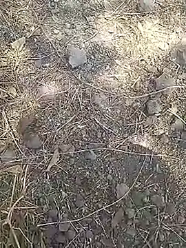 Cute Boy 4 online show from 03.15.26