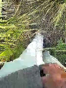 Cute Boy 4 online show from 04.05.26