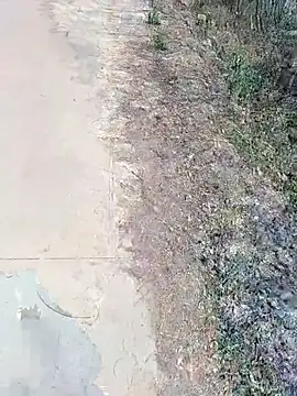 Snapshot of janu_9900 chatting on 02.18.26 janu 9900 online show from 02.18.26