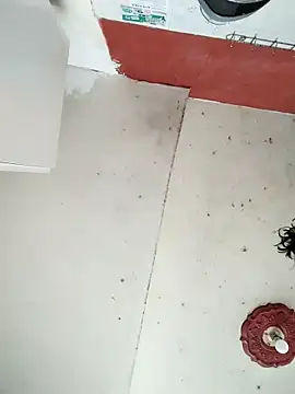 Snapshot of cynliu chatting on 04.14.26 cynliu online show from 04.14.26