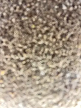 Namipeitudinha online show from 02.16.26