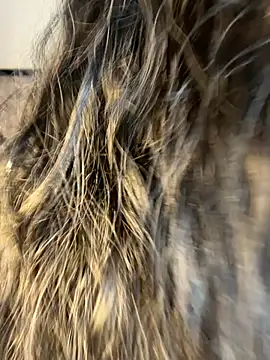 Snapshot of Denise_wolfe21 chatting on 02.19.26 Denise wolfe21 online show from 02.19.26