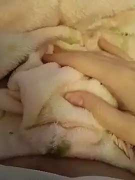 Snapshot of CutxeFrench chatting on 03.02.26 CutxeFrench online show from 03.02.26