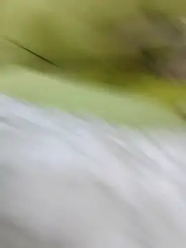 Snapshot of ONixCris chatting on 02.20.26 ONixCris online show from 02.20.26