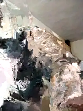 Snapshot of BoxedDitty chatting on 02.21.26 BoxedDitty online show from 02.21.26