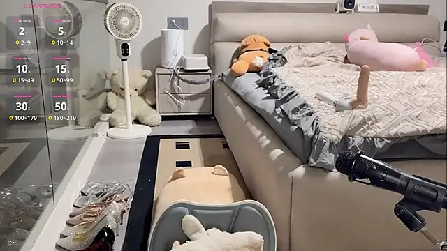 yyds-8 online show from 02.12.26