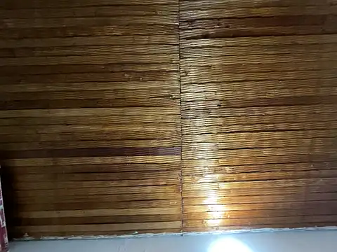 alison parkerr26 online show from 02.09.26