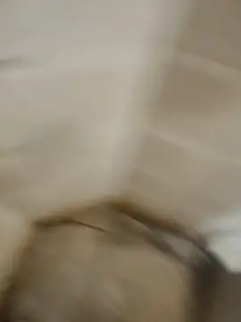 Gordinho dos pes online show from 04.07.26