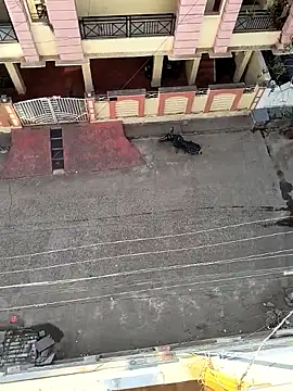 Snapshot of Castrol1289 chatting on 02.11.26 Castrol1289 online show from 02.11.26