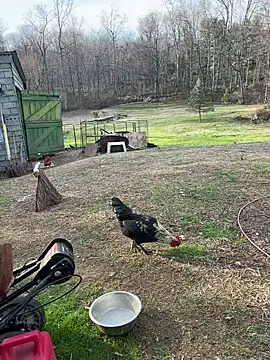 tommattsonn online show from 03.22.26