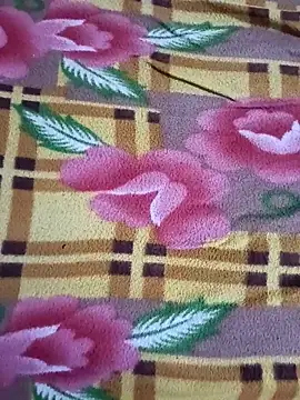 nanibabu7999 online show from 04.15.26