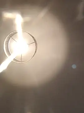 Snapshot of creativeX chatting on 02.06.26 creativeX online show from 02.06.26