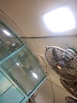 Snapshot of Talkwithsex chatting on 02.04.26 Talkwithsex online show from 02.04.26