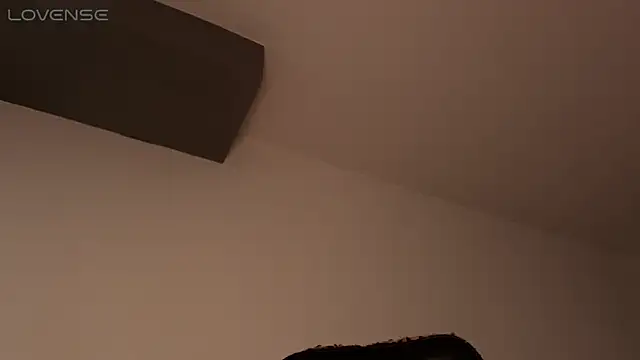 Snapshot of BjornSteel chatting on 02.27.26 BjornSteel online show from 02.27.26