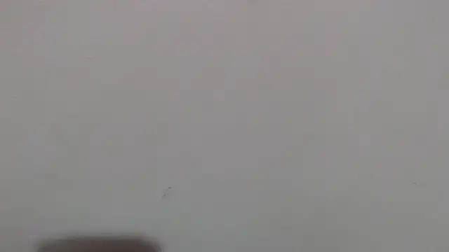 im angel777 online show from 02.04.26