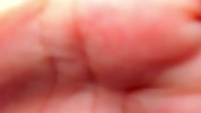 RinaFox   online show from 02.21.26