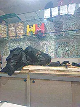 Snapshot of Furnor chatting on 02.26.26 Furnor online show from 02.26.26