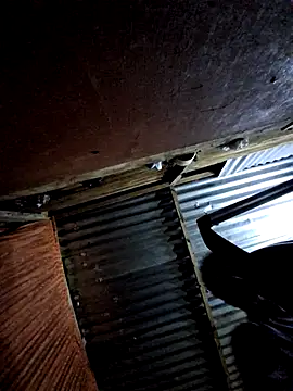 DocCock021 online show from 02.24.26