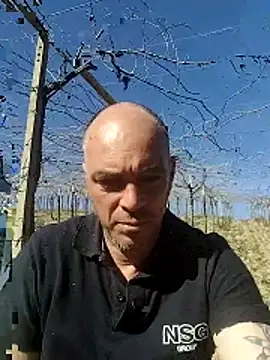 circott online show from 02.22.26