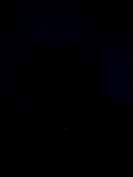 Telugucouple69 online show from 02.15.26