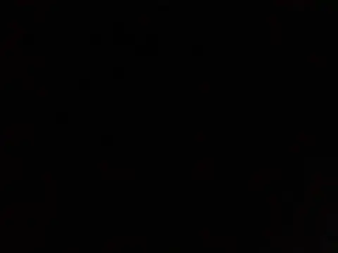 lavelle26 online show from 02.11.26