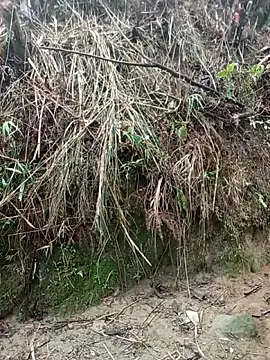 aiai220 online show from 03.25.26