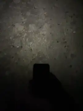 Snapshot of stallone_italiano_62 chatting on 02.17.26 stallone italiano 62 online show from 02.17.26