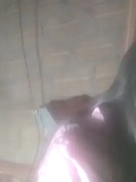 Yang-my- online show from 02.13.26