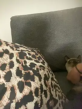 little dreamer  online show from 03.09.26