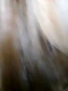 Snapshot of -Bada- chatting on 03.01.26 -Bada- online show from 03.01.26