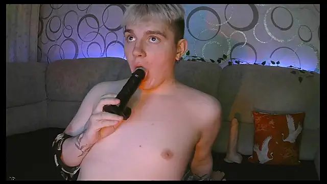 heatctrl online show from 03.01.26