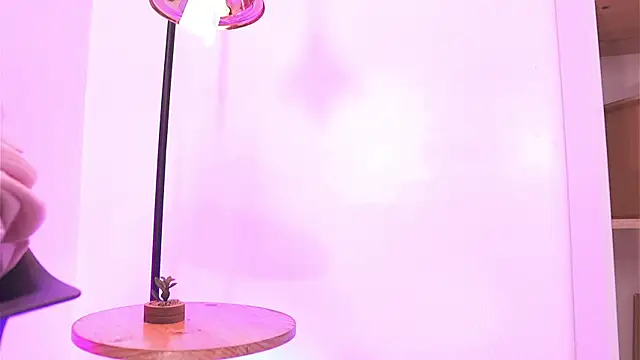 Shopie Colucci online show from 04.13.26