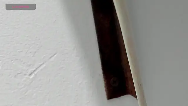 Criistal castro online show from 04.06.26