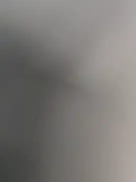 anitamadrid online show from 02.15.26