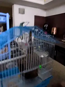 Snapshot of sexysilmy chatting on 02.25.26 sexysilmy online show from 02.25.26