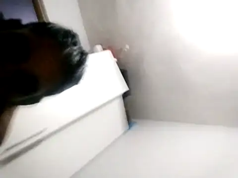 Baby P online show from 03.18.26