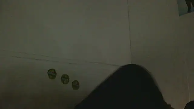 Snapshot of pbilip7787 chatting on 02.25.26 pbilip7787 online show from 02.25.26