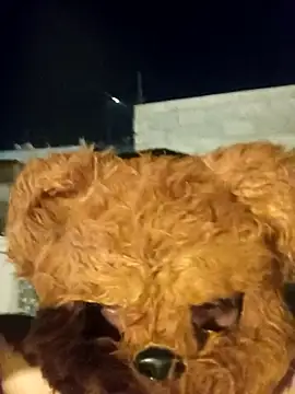 Chondo79 online show from 03.27.26