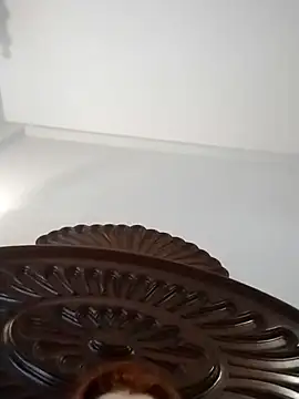 fegostosa12 online show from 03.11.26