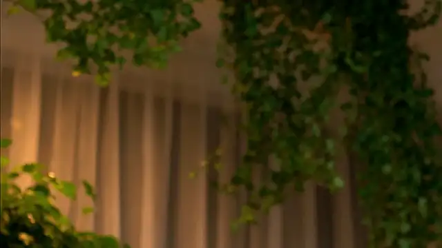 TheMaddisonShow  online show from 03.04.26