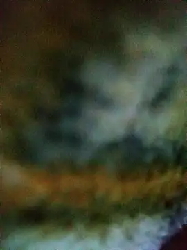 Snapshot of Avinh_09 chatting on 02.15.26 Avinh 09 online show from 02.15.26