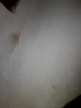 Snapshot of iwantolderwmn chatting on 02.19.26 iwantolderwmn online show from 02.19.26