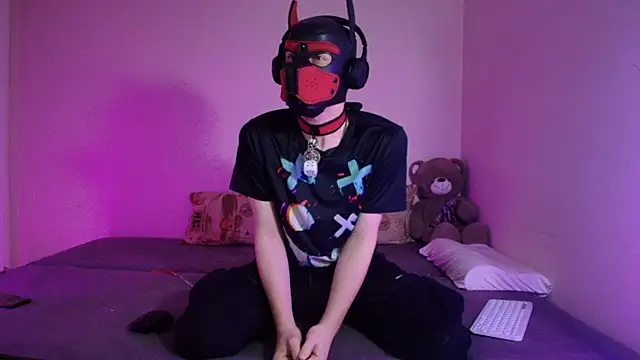 K9 GoodBoy online show from 04.01.26