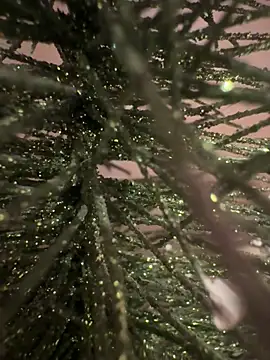 sexysou online show from 04.15.26