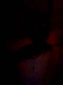 wifedesi7050 online show from 03.05.26