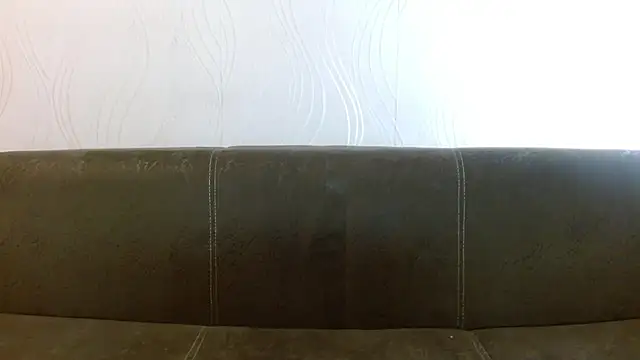 meowgary online show from 02.26.26